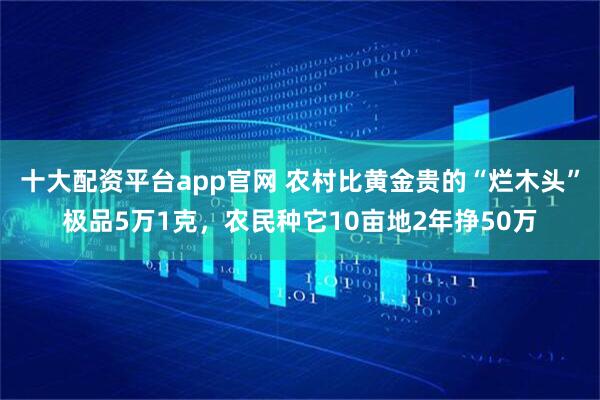 十大配资平台app官网 农村比黄金贵的“烂木头”极品5万1克，农民种它10亩地2年挣50万